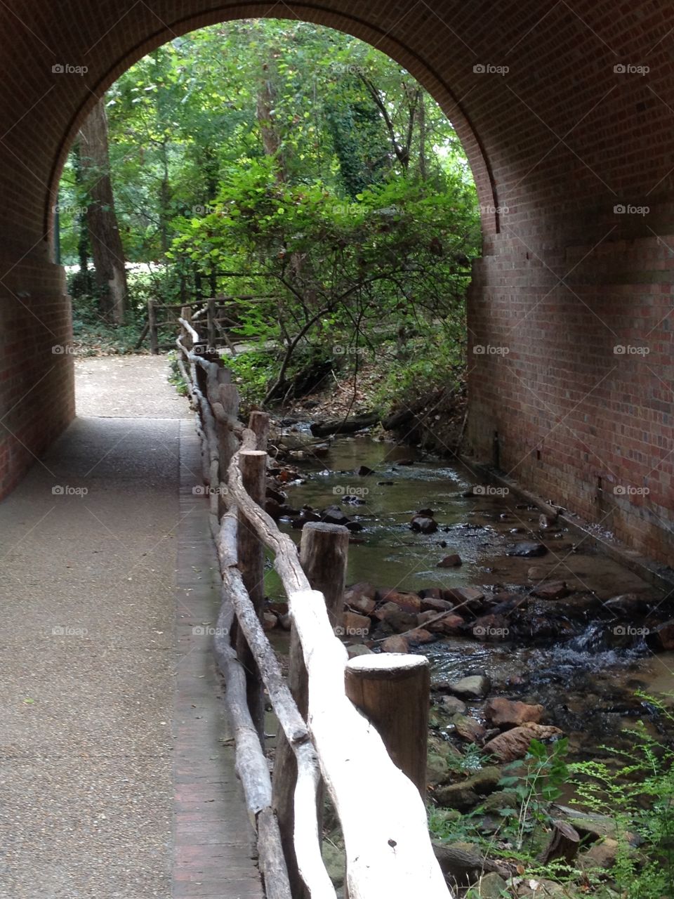 Stream Pathway at Colonial Williamsburg