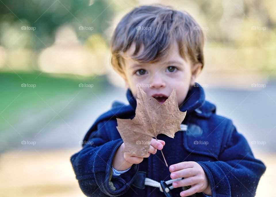 Cute boy holding dry maple leaf