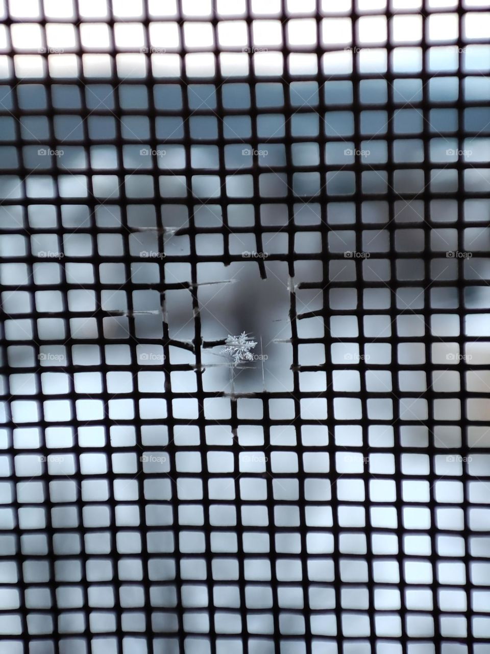 A macro photo of a tiny snowflake captured on a net in the winter in Bulgaria