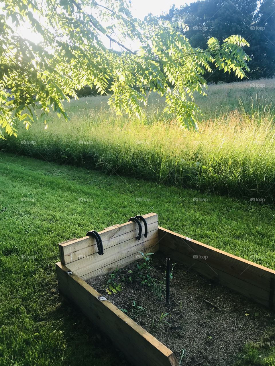 Gorgeous sunset with sun shining through tree branches, beautiful grassy field and fun horse shoe pit. 