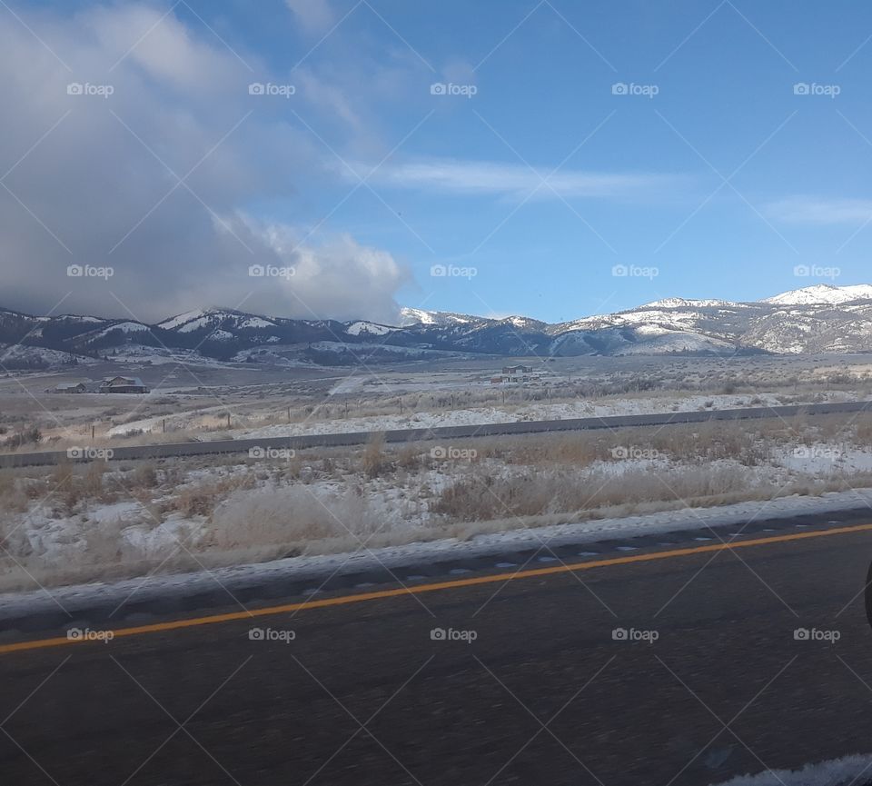 Jekell and Hyde nature edition