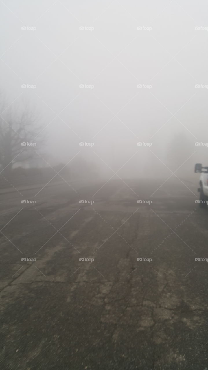 Fog, Mist, Landscape, No Person, Weather