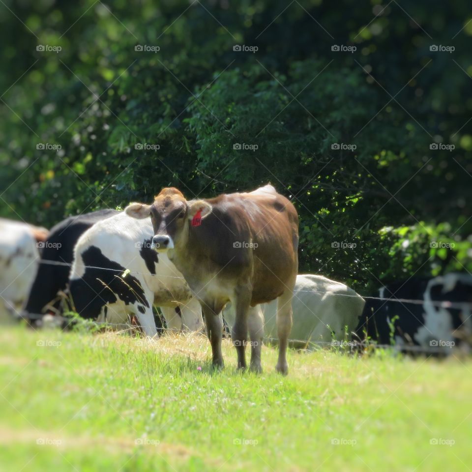 Standing Out In A Crowd