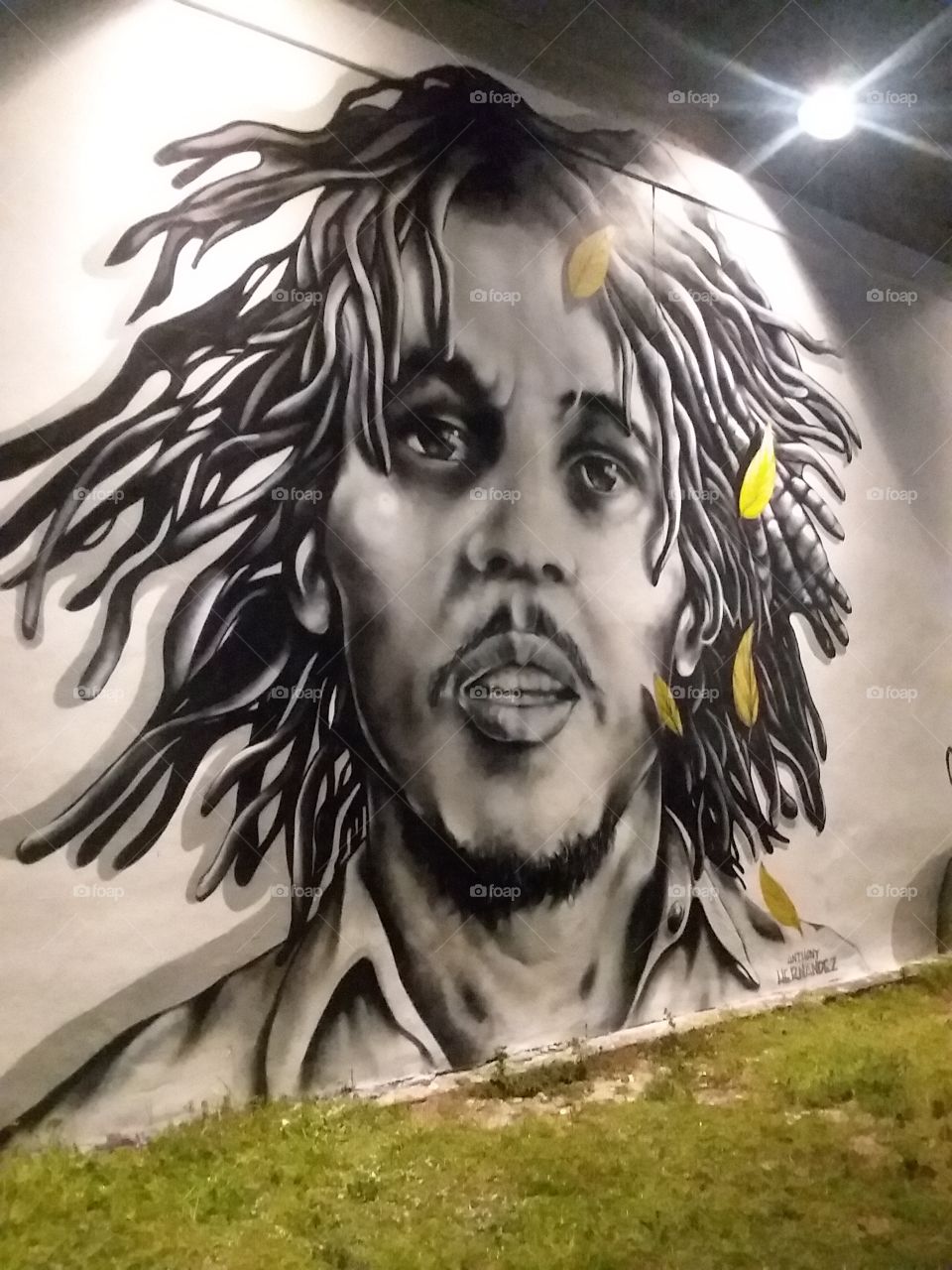 Bob Marley portrait I came across while exploring downtown West palm beach in Flordia! The artist did an incredible job !