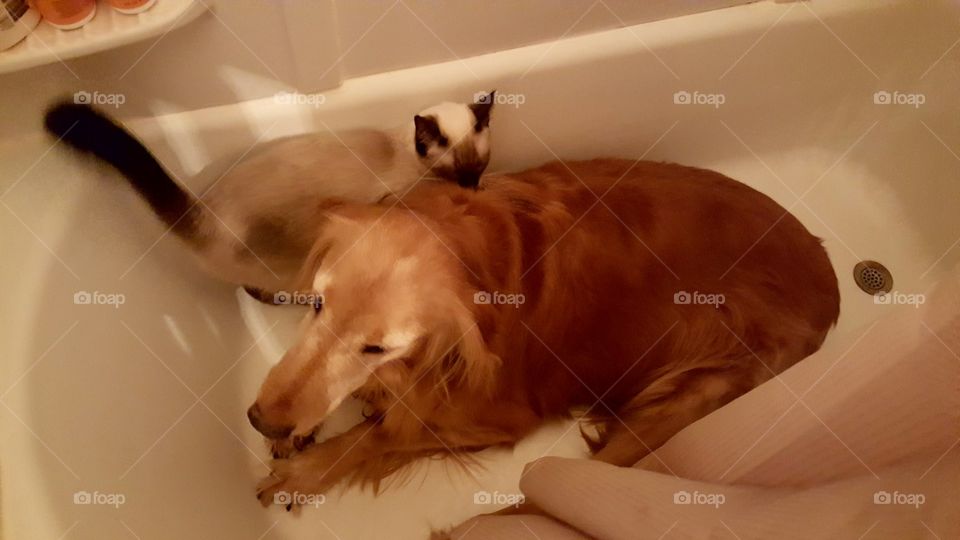 bath buddies