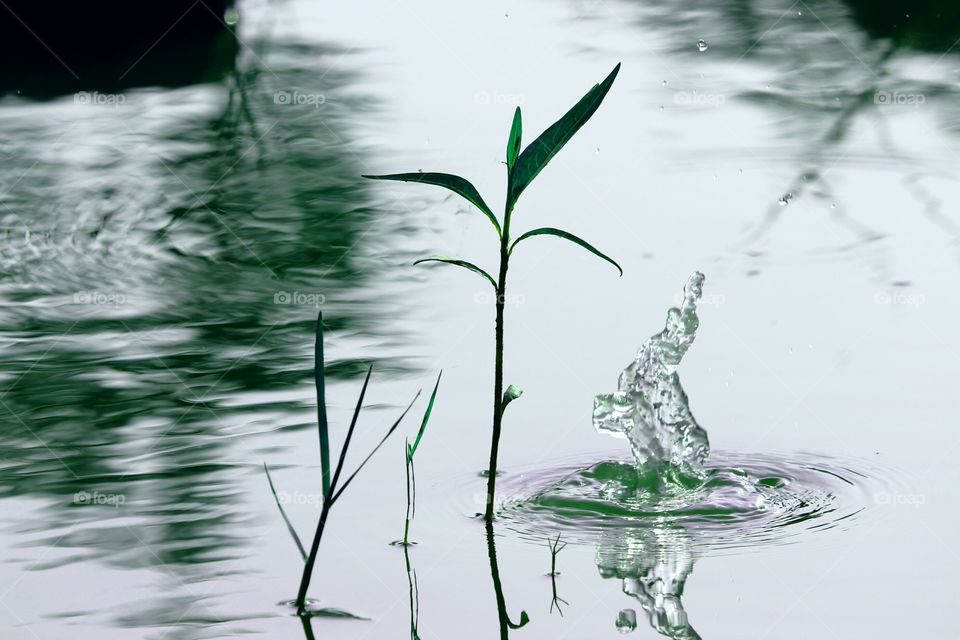 Incredible reflections