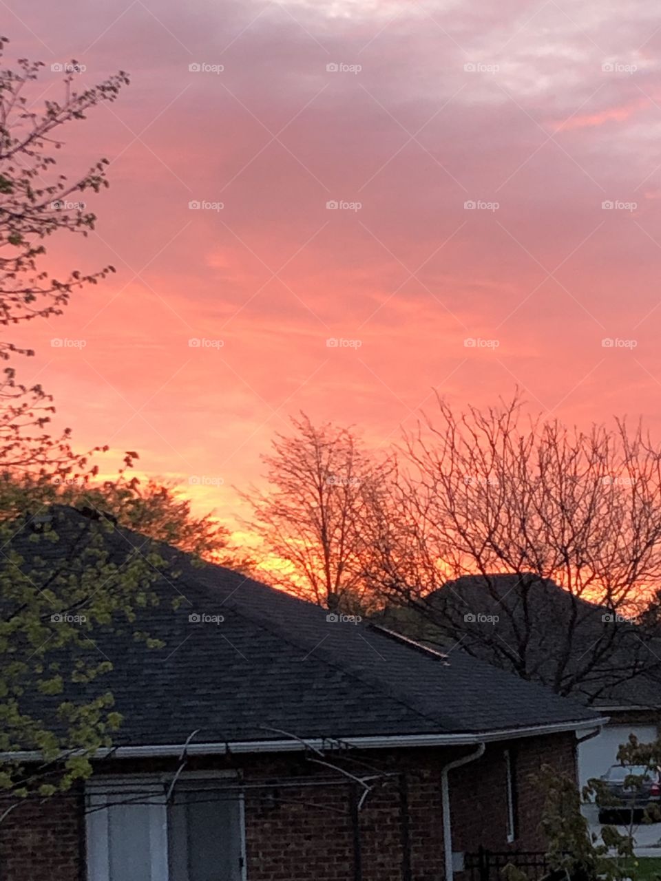 A Beautiful Sunrise