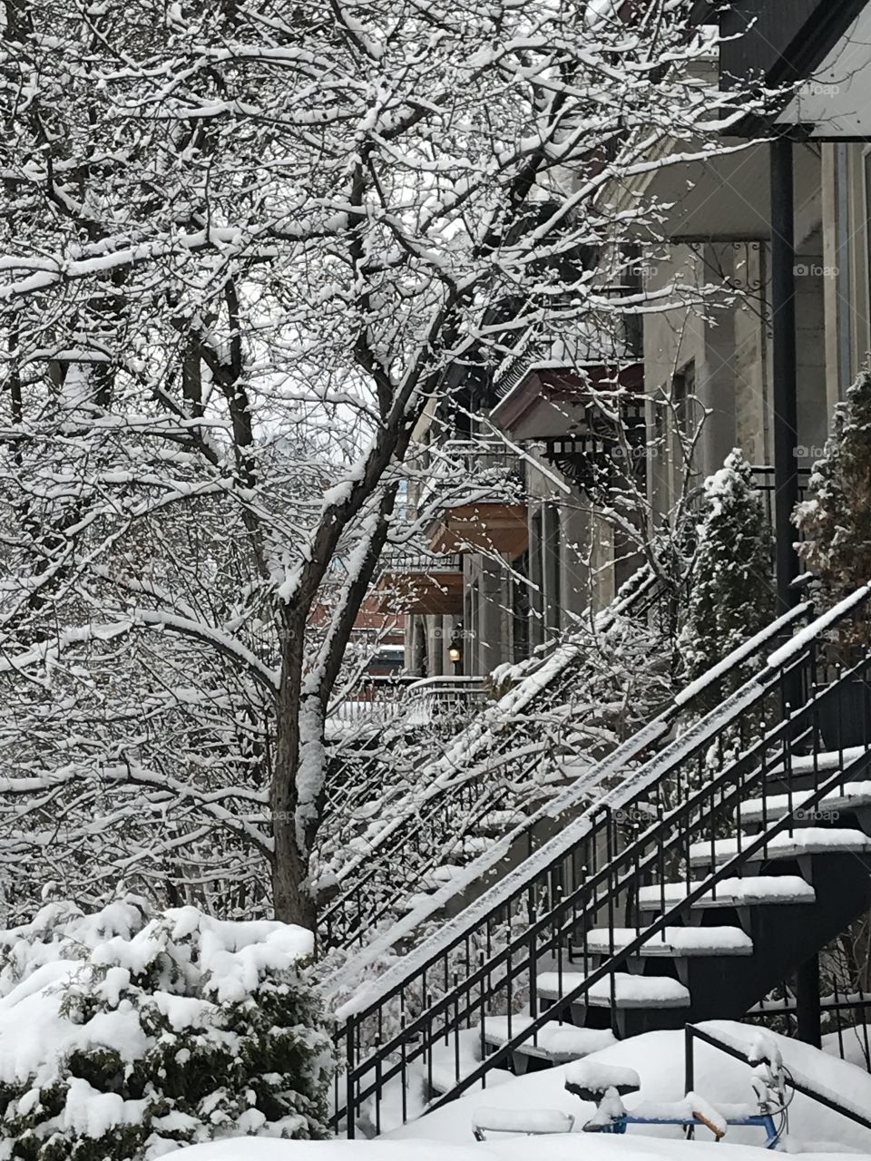 Winter wonderland in the Plateau neighborhood in Montreal