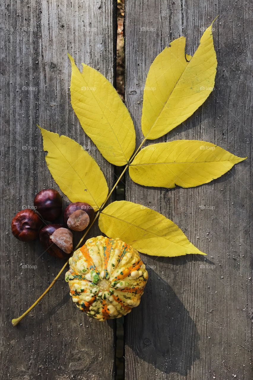 Pumpkin with autumn leaf