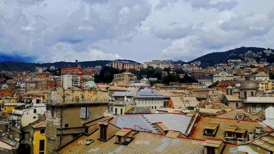 Roof Tops