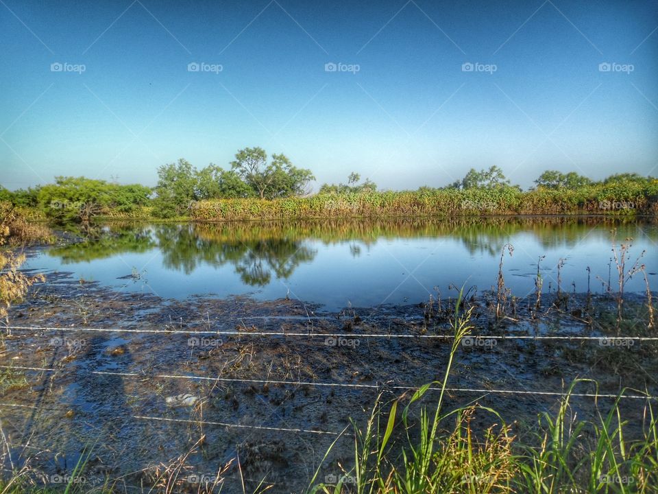 fishing 🎣 spot. This is a pond that I discovered while out exploring East Texas