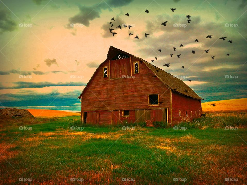 Old Rural Country Barn