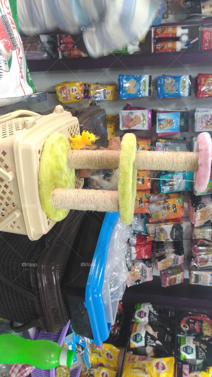 Pet Animals Accessories