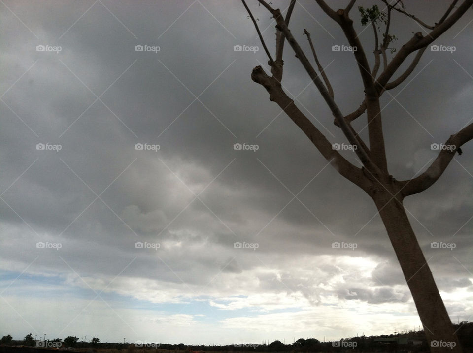 landscape dark tree clouds by Chromalux