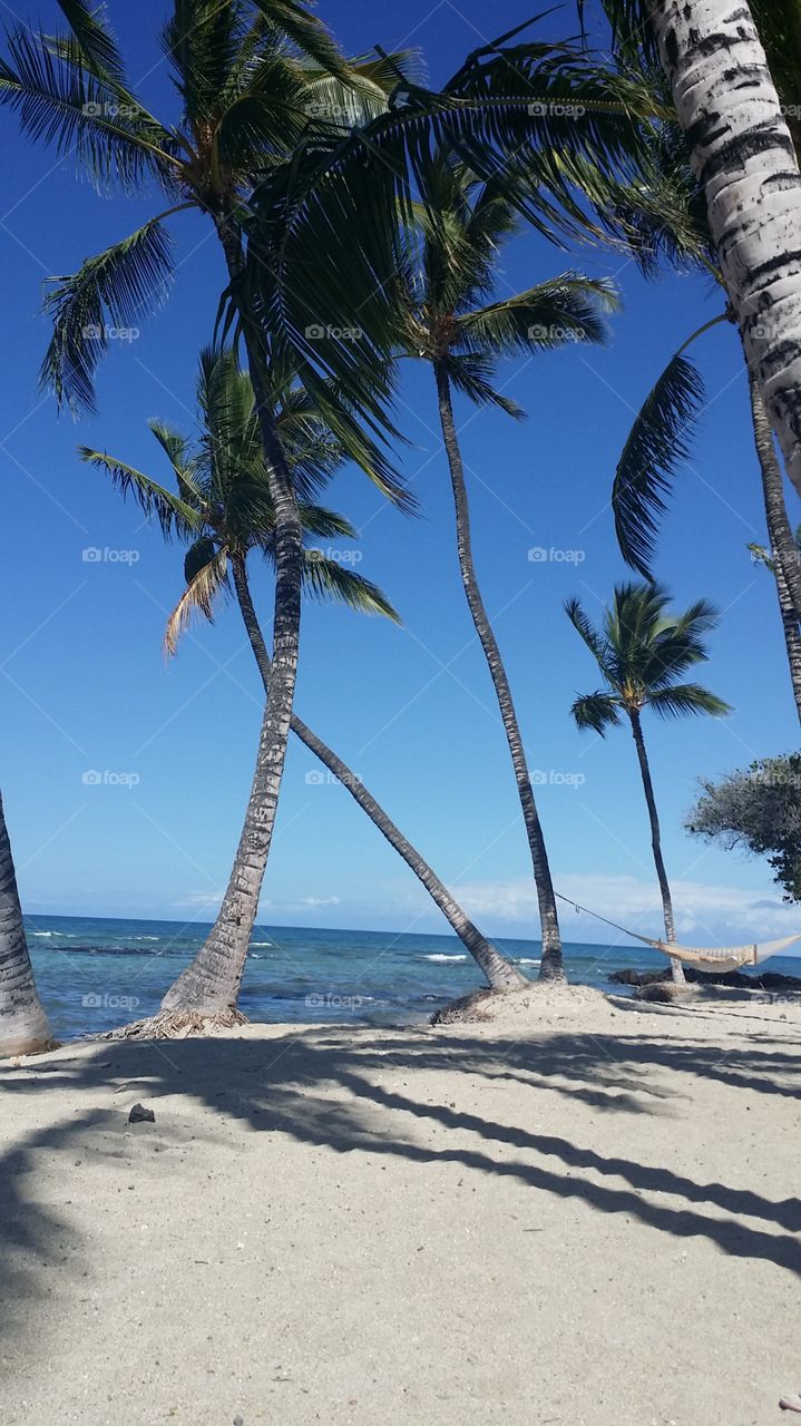 Hammock by the Sea