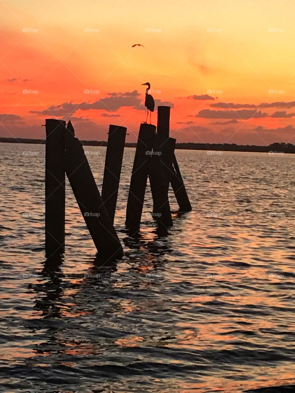 Sunset, Water, Dawn, Sea, Evening