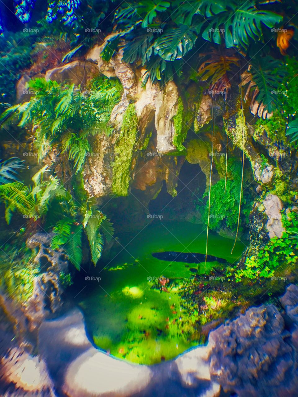 Garden Qunta da re galeira 