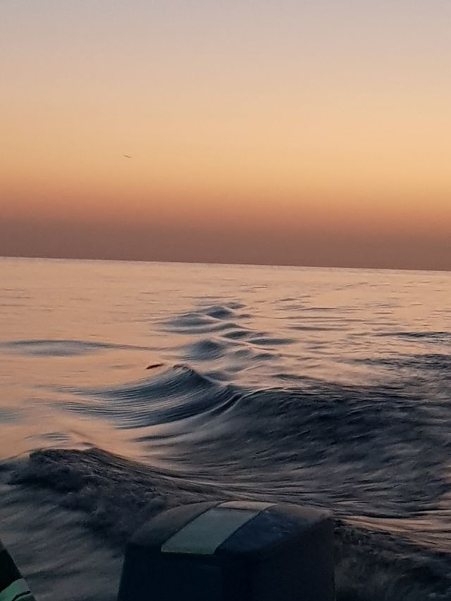 نيوم السعودية