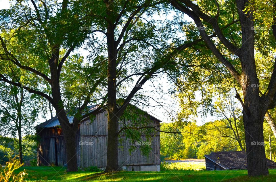 An old wooden barn with the sun shining behind it