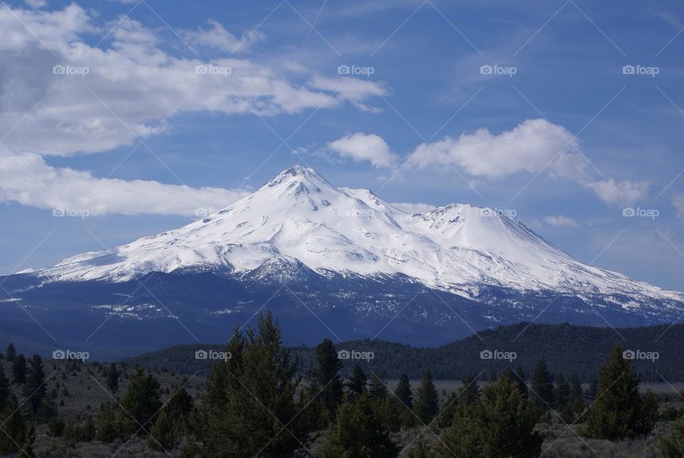 Mount Shasta
