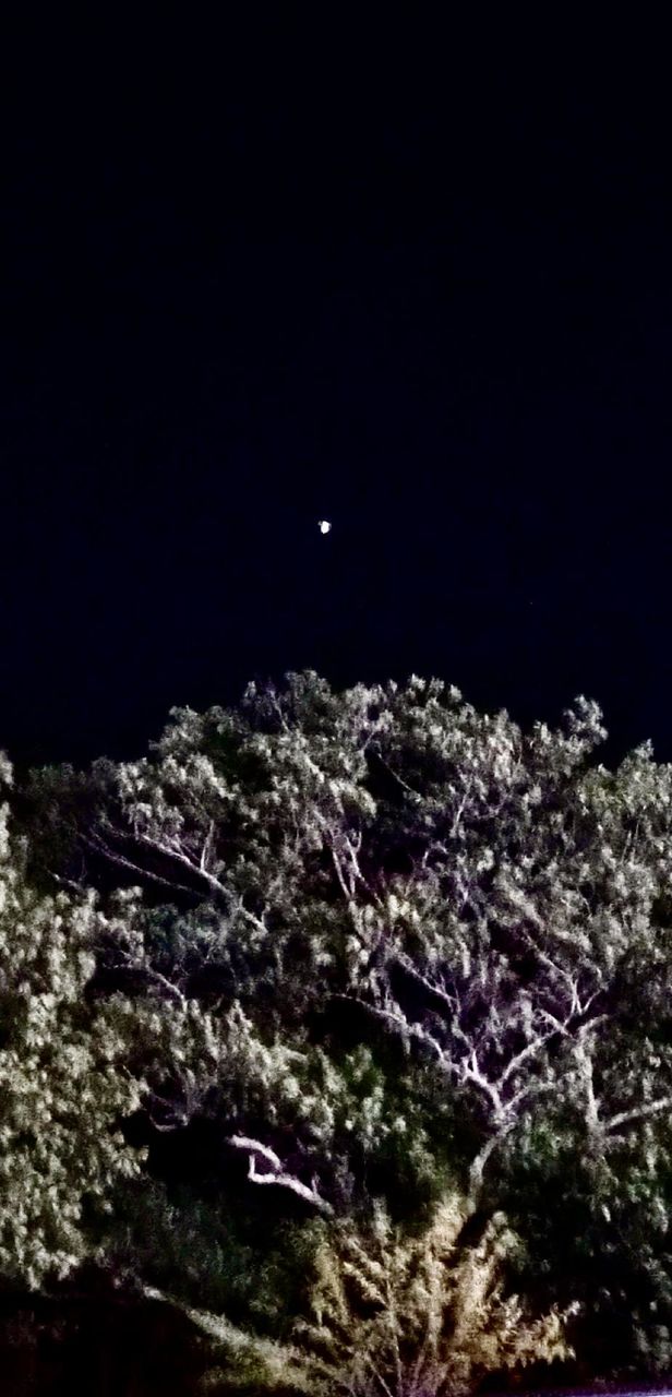 I look for the moon every night.  Its singularity is immeasurably relatable to the introvert that am. I understood loneliness profoundly when I stared up at this moon.  Although It may be my one true companion beginning journey through homelessness.