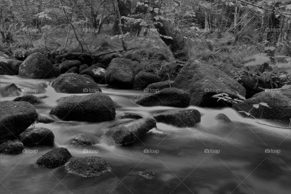 River Bovey in black and white