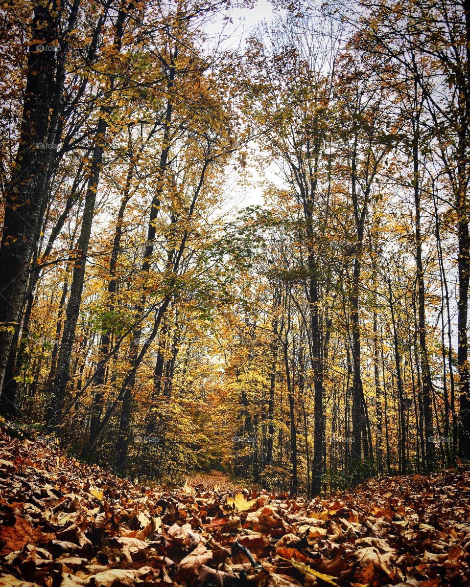 Leave a trail of kindness where ever the wind may take you..