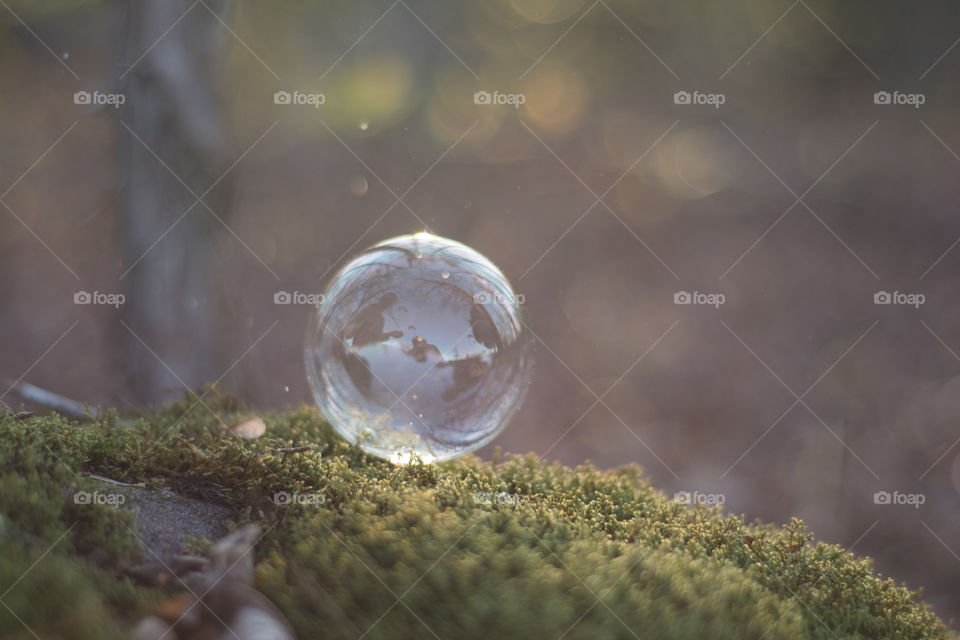 Close-up of bubble on rock