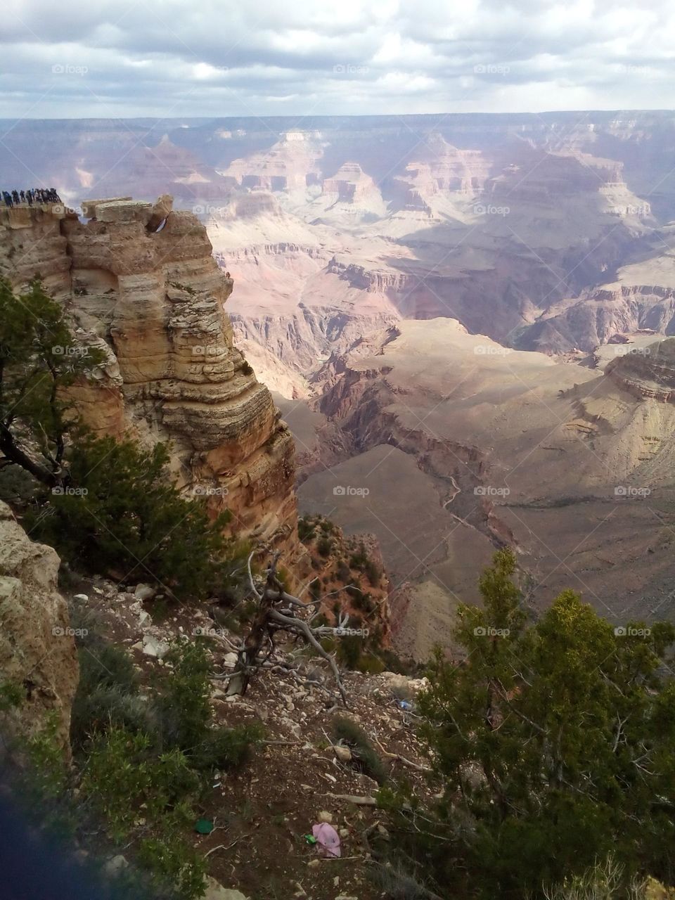 Edge of Grand Canyon transitions from shade to sunlight. Bright color in foreground contrasts lighter color of canyon. Look 1/3 of way down in the light area. I see the face of a native American girl, looking up as if lying down?