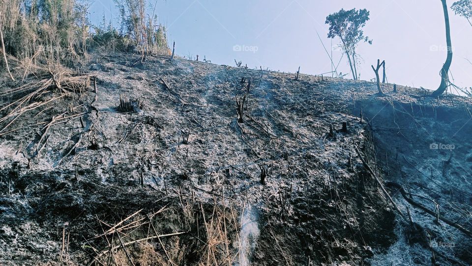 Climate change drives wildfire