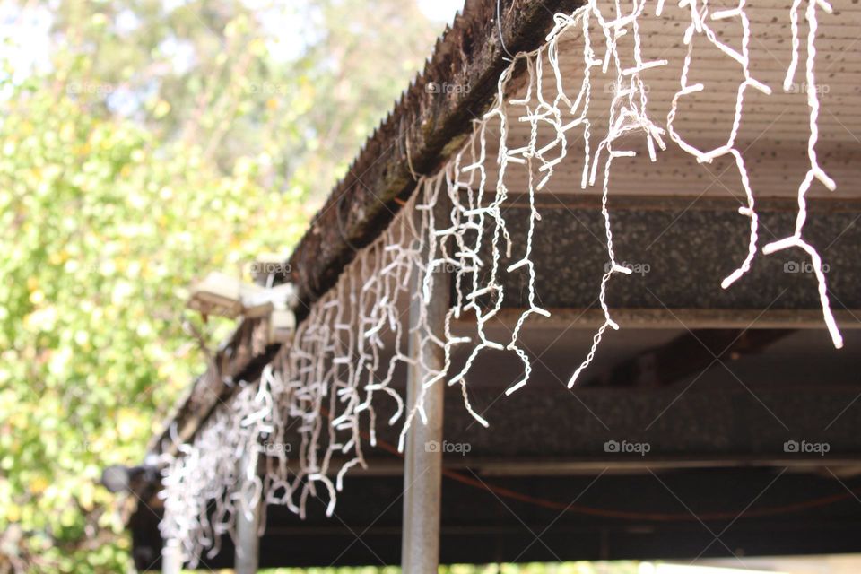 Dangling Christmas lights hanging from an old, rusty roof in a nice bushland land