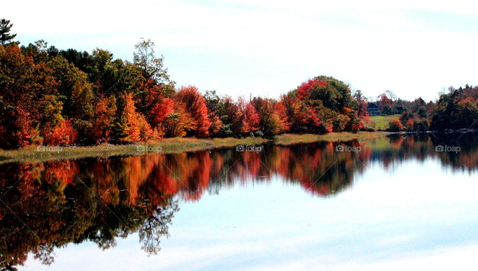 Fall in Nova Scotia