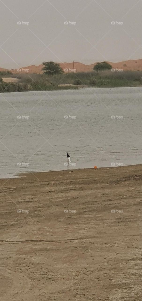 The lake in UAE desert