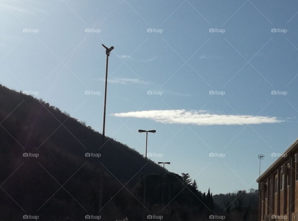 Today is a sunny day. There is only one cloud  to remember us that winter is not yet gone