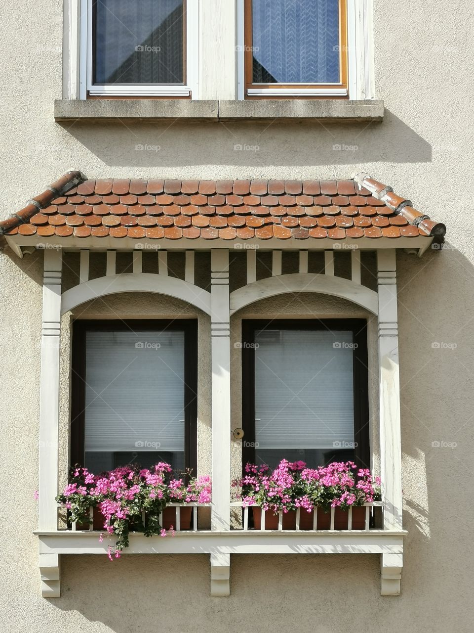 Blume Fenster von einem alten Haus