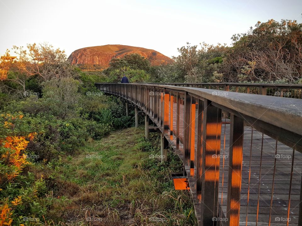 mount coolum @ boardwalk