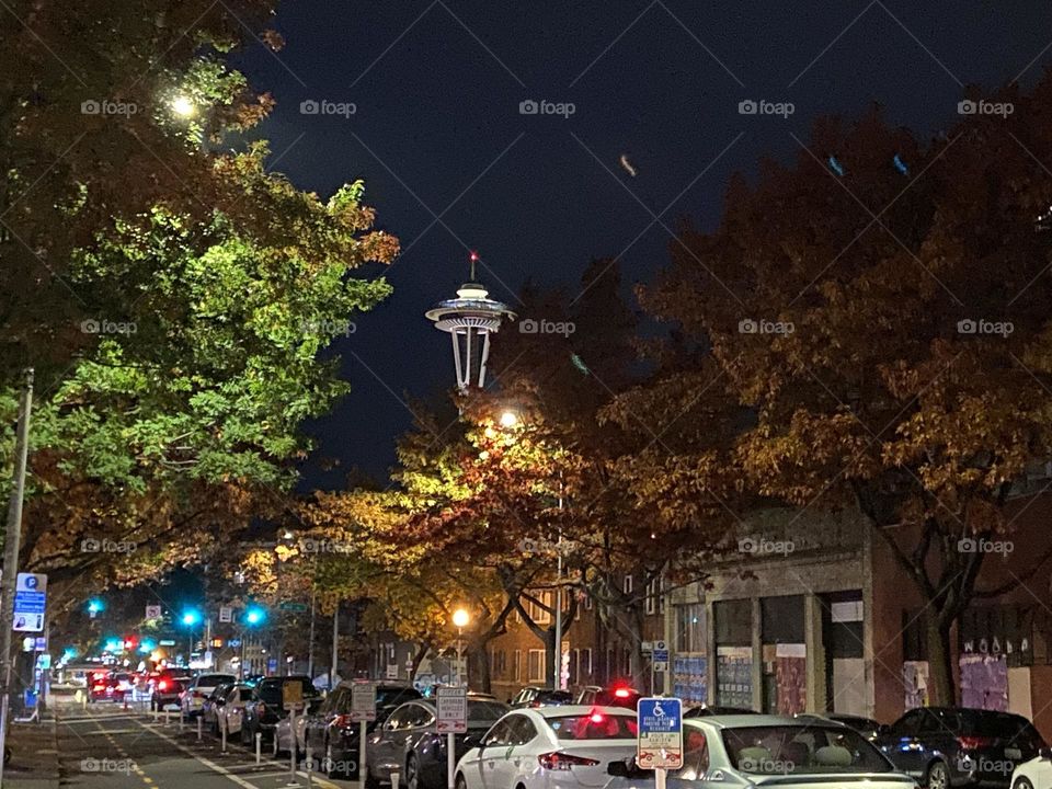 Seattle Space Needle 