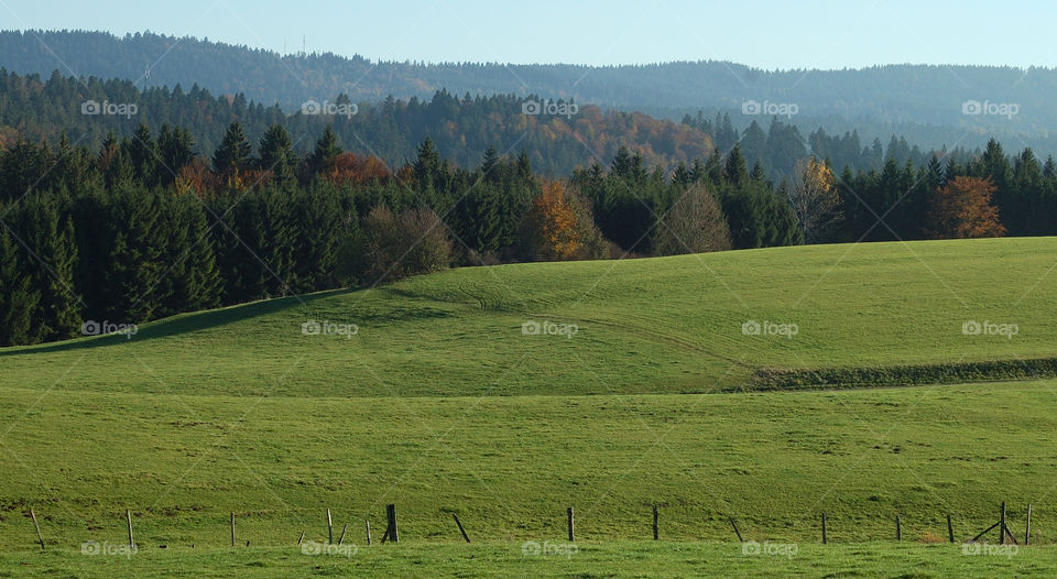 Promenade dans le Val de Morteau