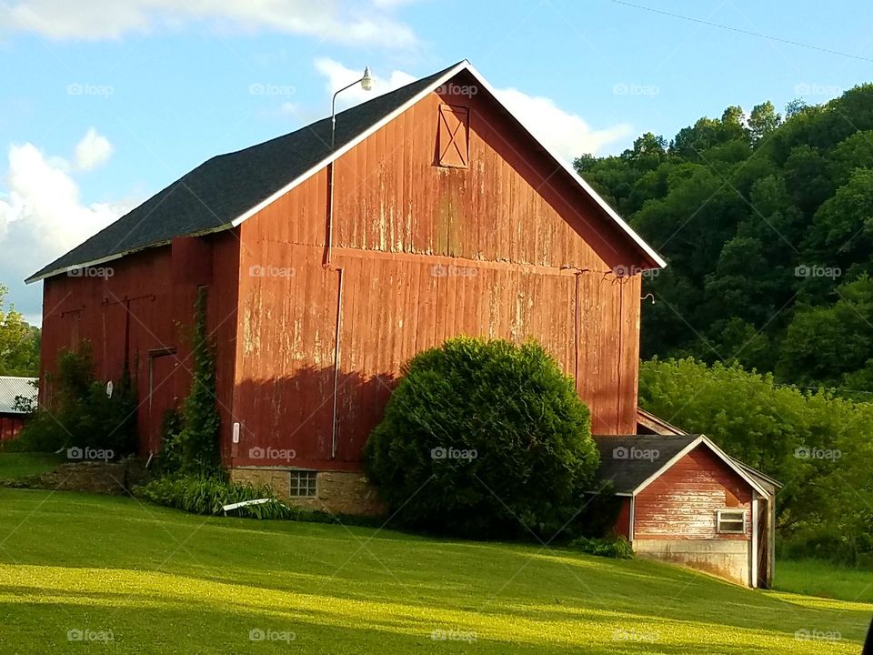 Driving the Back Roads and enjoying everything around us