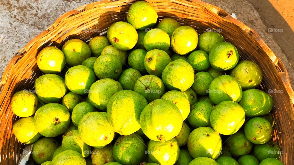 Very accessable and nutritious fruits Guava has harvested from orchard.