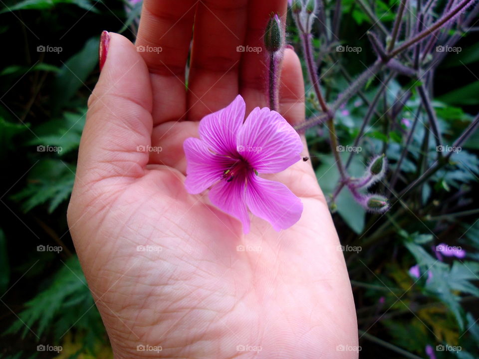 Flowers For You! 💗