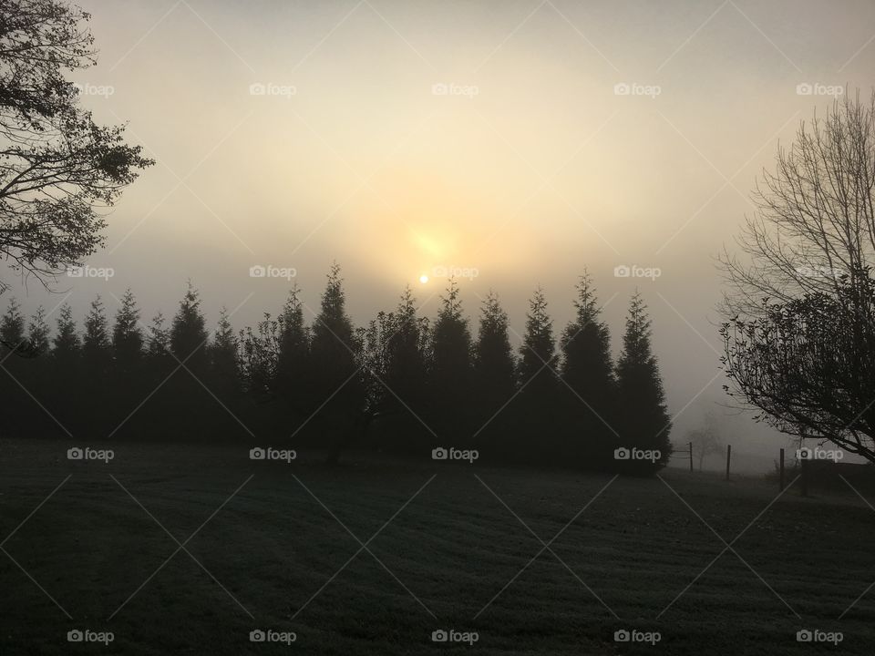 Sunlight through the haze