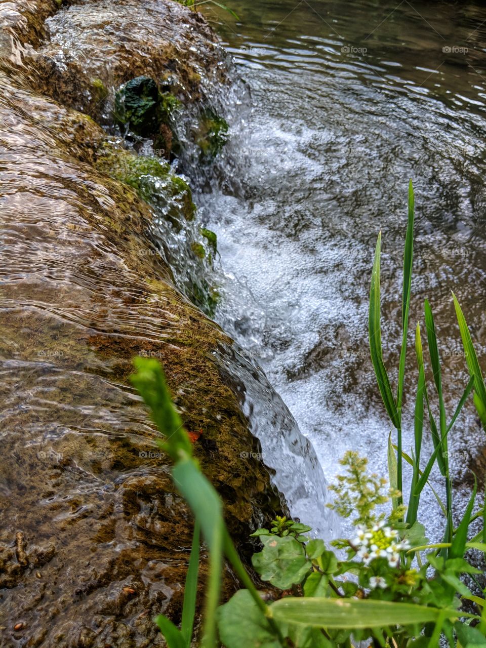 Wild small stream waterfall