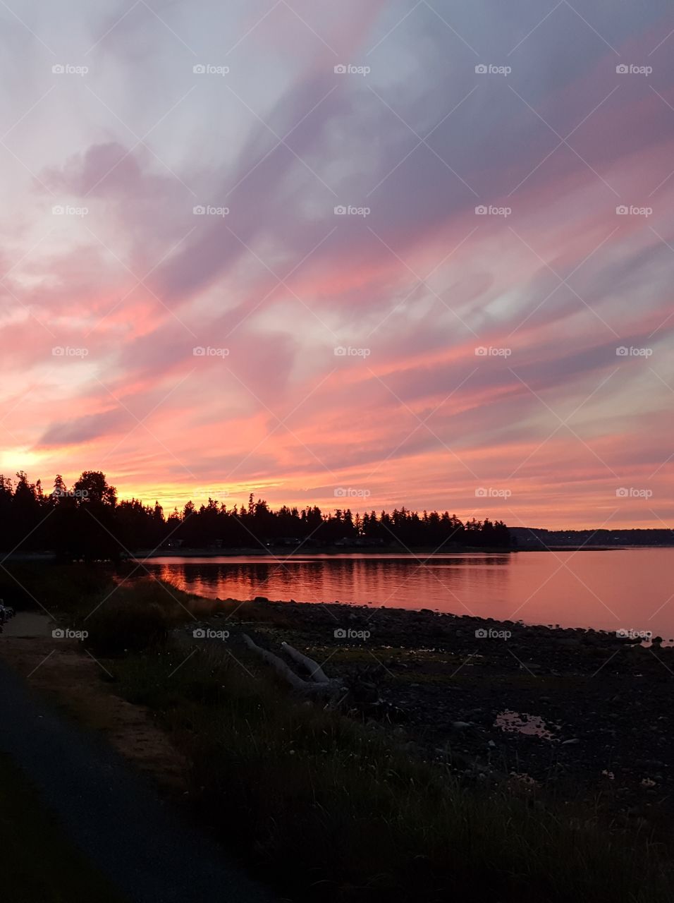 Beautiful Color Pink in Cloudy Sunset Sky with reflection on calm Ocean shoreline in Canada