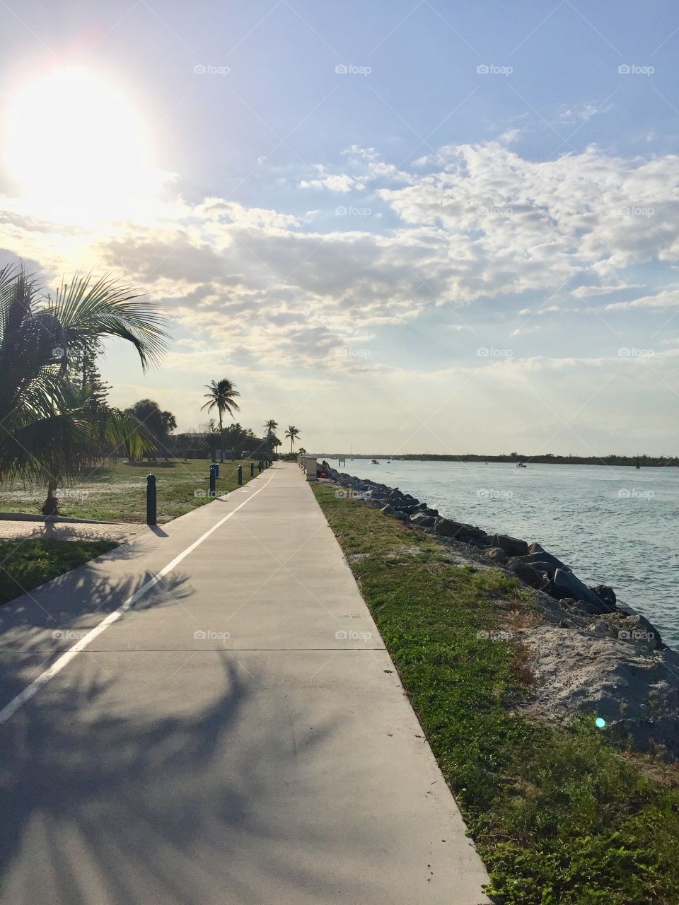 Nature scene at the intercoastal waterway