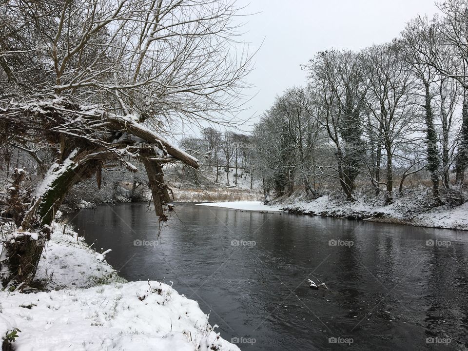 Wintertime ... end of my walk shot ... taken January 2021 ... snow has fallen this morning ⛄️