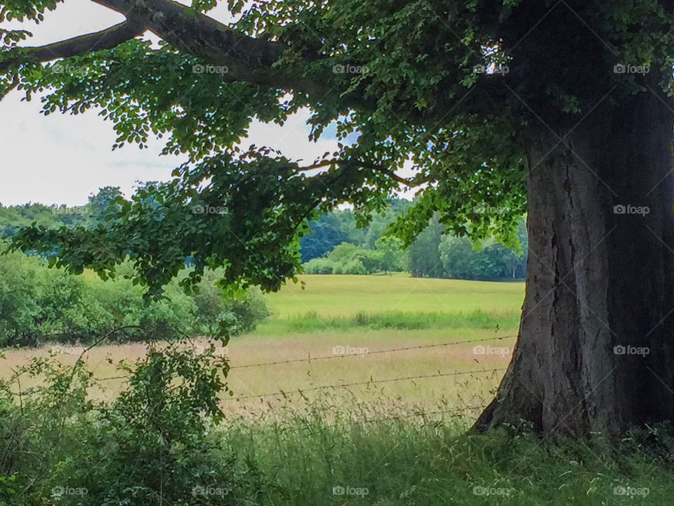 Countryside outside Svedala in Sweden.