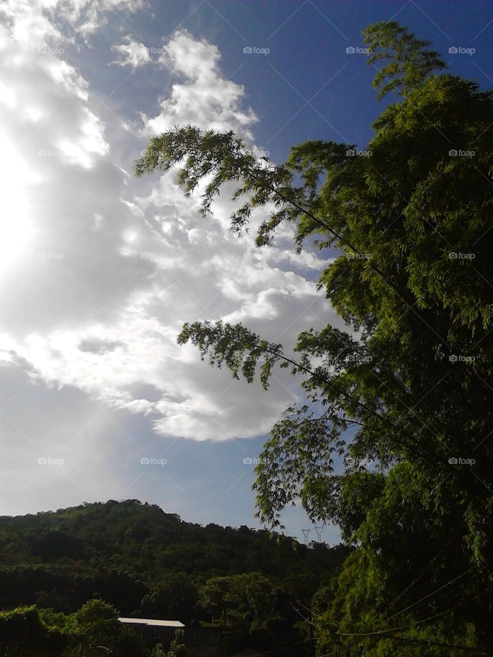 Aim for the skies, looking up to nature