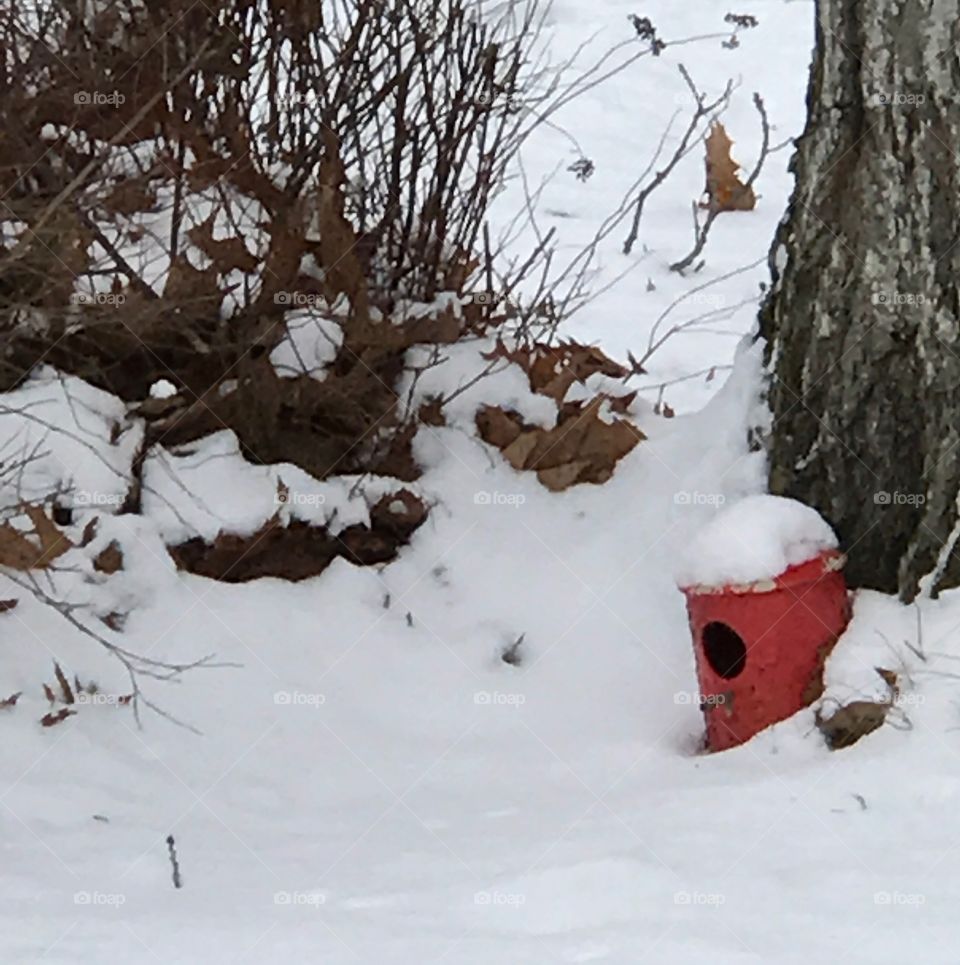 Birdhouse in the snow