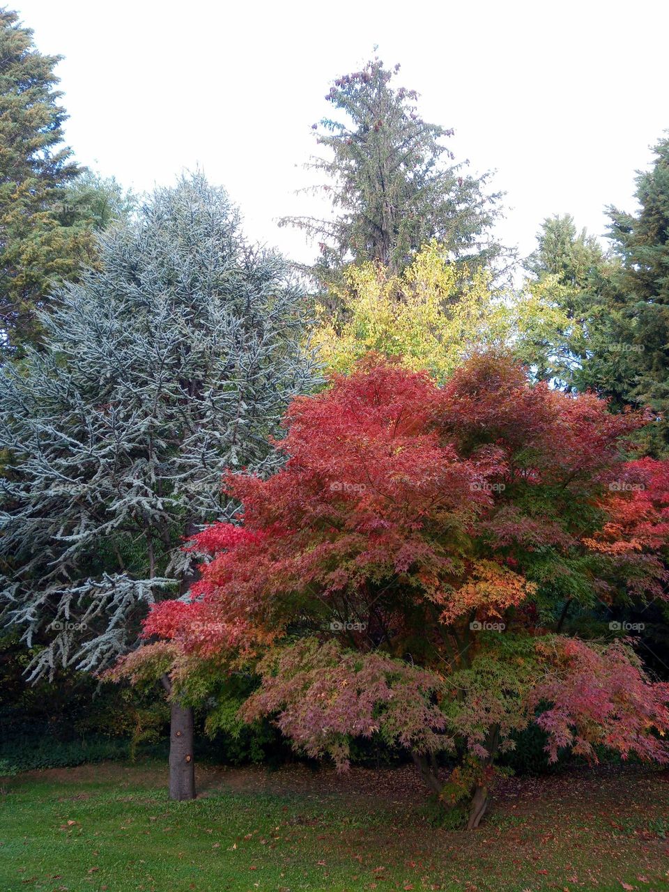 Lo mas lindo del otoño